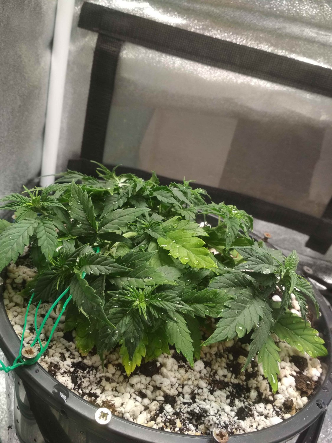 IMG_20220603_231029.jpg IMG_20220603_231029.jpg