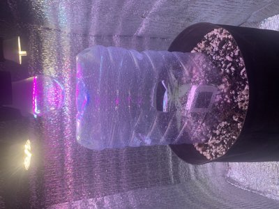 1F1F6E96-A2A3-4F94-98F5-E8E1C2A0168B.jpeg 1F1F6E96-A2A3-4F94-98F5-E8E1C2A0168B.jpeg