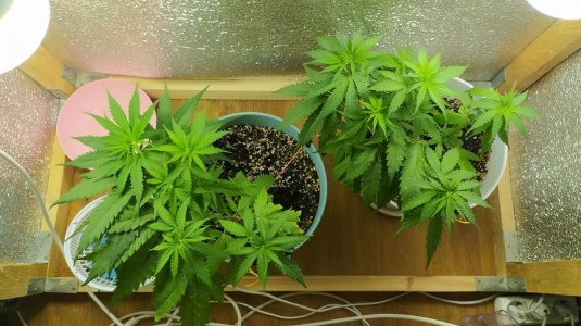 photo_2022-06-11_02-09-22 (2).jpg