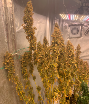 Снимок экрана 2022-06-11 в 12.53.38.png Снимок экрана 2022-06-11 в 12.53.38.png