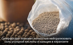 7-Variant-3__ls2KCUjEpeYGvwUY.jpg 7-Variant-3__ls2KCUjEpeYGvwUY.jpg