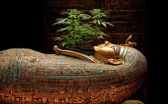 egypt.jpg
