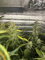 6 — копия.jpg