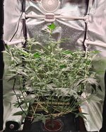 Day 47 10.04 (2).jpg