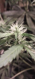 20260410_201008 — копия.jpg