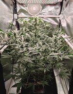 Day 63 26.04 (2).jpg