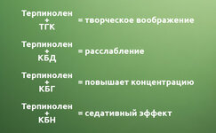 tgk-kbd-kbn-i-kbg__mPiHo4oomNUyKjA8.jpg tgk-kbd-kbn-i-kbg__mPiHo4oomNUyKjA8.jpg