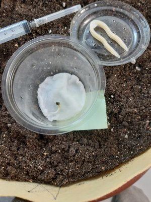 20220613_223908.jpg 20220613_223908.jpg