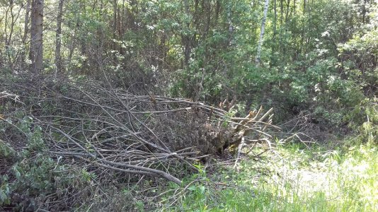 20160415_010807.jpg 20160415_010807.jpg