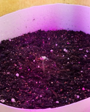 20220614_011446.jpg 20220614_011446.jpg