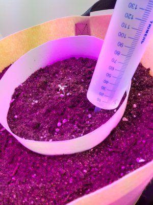 20220614_113930.jpg 20220614_113930.jpg