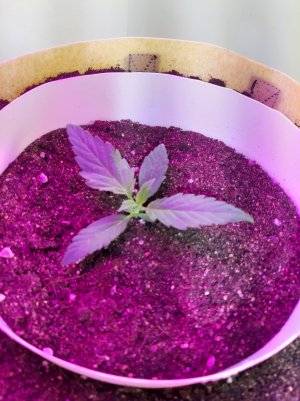 20220614_124744.jpg 20220614_124744.jpg