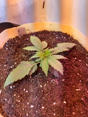 20220614_134610.jpg 20220614_134610.jpg