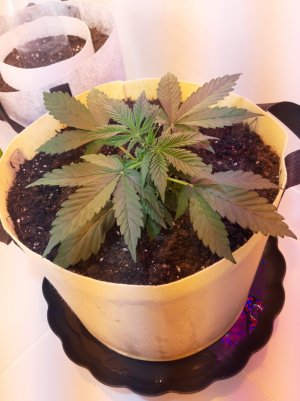 20220614_140457.jpg 20220614_140457.jpg