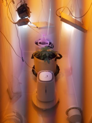 20220614_140815.jpg 20220614_140815.jpg