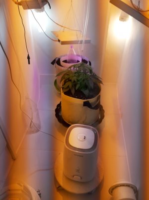 20220614_213425.jpg 20220614_213425.jpg