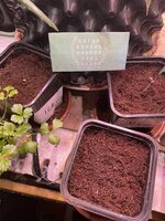 IMG_4383.jpeg