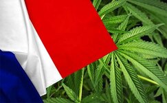 france.jpg