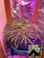 IMG_3352.jpeg
