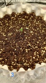 1786725001892.jpg