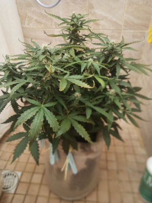 photo_2022-06-24_23-06-56.jpg photo_2022-06-24_23-06-56.jpg