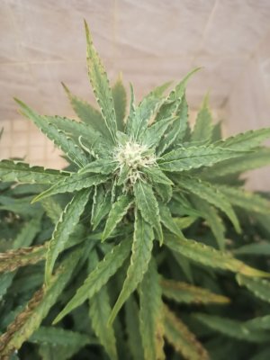 photo_2022-06-24_23-06-58.jpg photo_2022-06-24_23-06-58.jpg