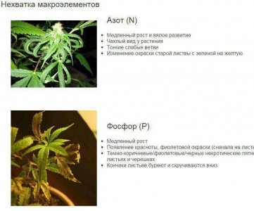 3A21CB4B-33B2-47AC-AB3B-3A7DF28F7E52.jpeg 3A21CB4B-33B2-47AC-AB3B-3A7DF28F7E52.jpeg