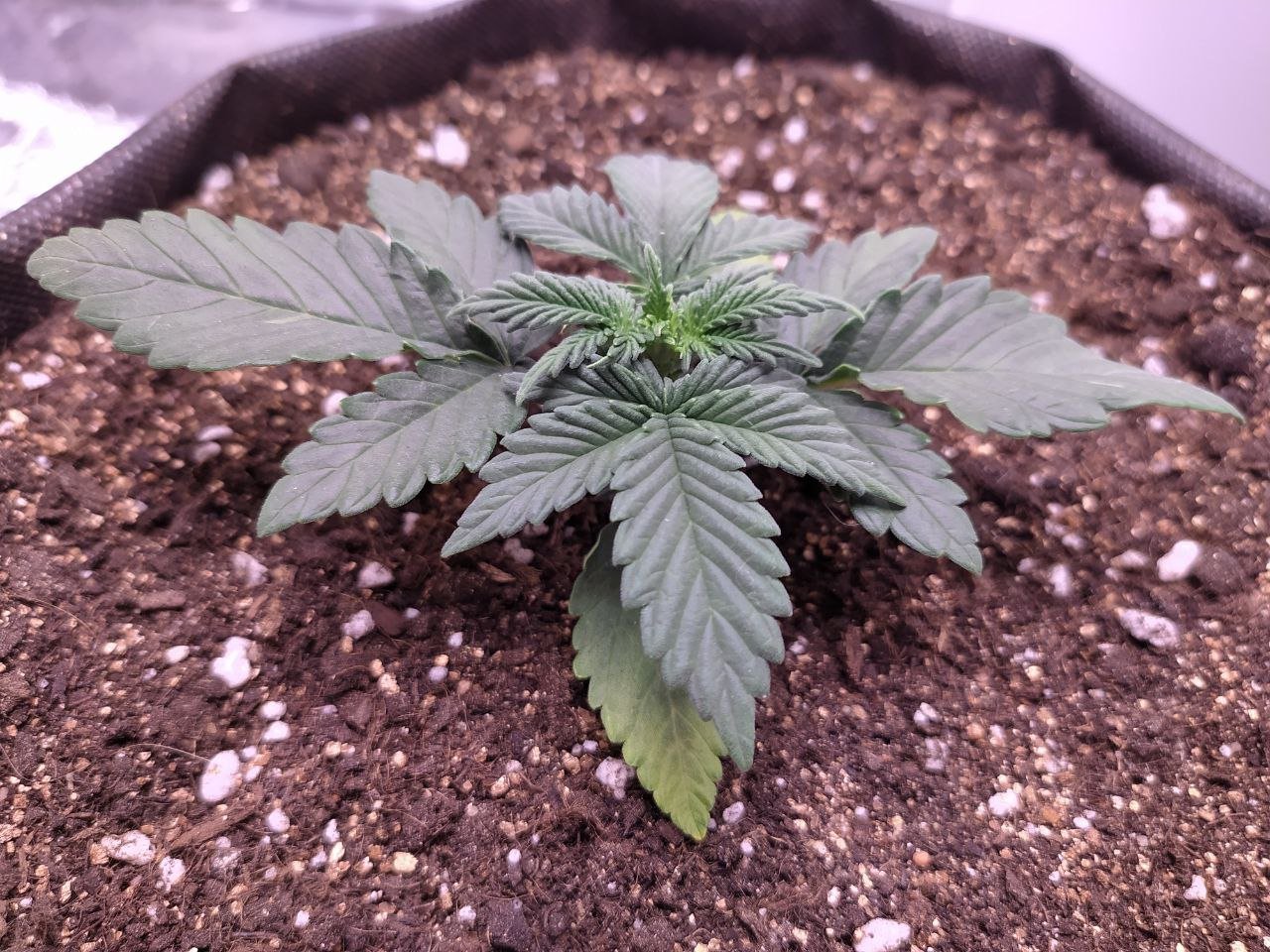 photo3 — копия.jpg