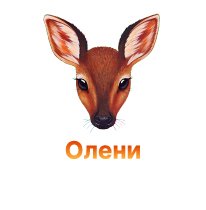 Защита конопли от оленей