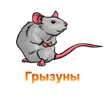 Как защитить коноплю от грызунов