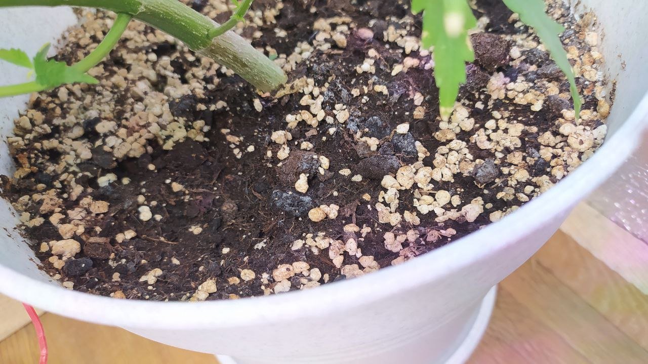 photo_2022-06-30_08-42-39 (3).jpg