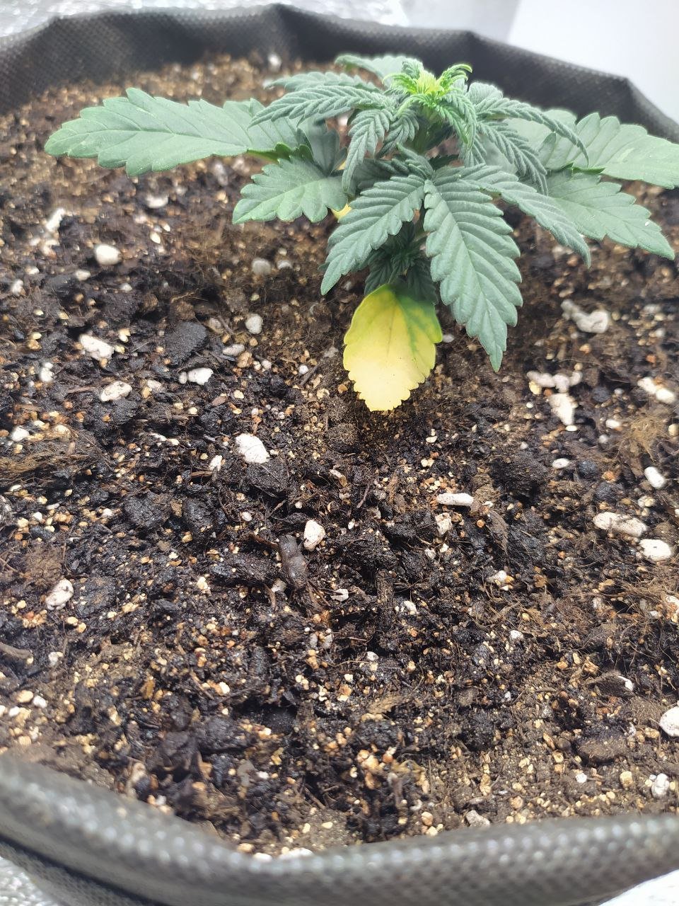 photo3 — копия.jpg