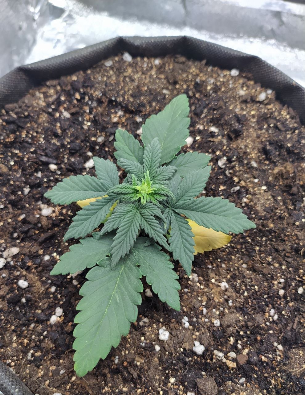 photo1 — копия.jpg