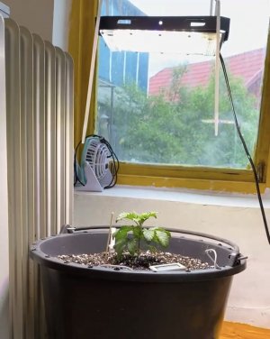 4137E712-C714-48F6-96A5-5D9B897CC62E.jpeg 4137E712-C714-48F6-96A5-5D9B897CC62E.jpeg