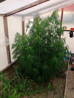 Screenshot_20220706_072551.jpg Screenshot_20220706_072551.jpg