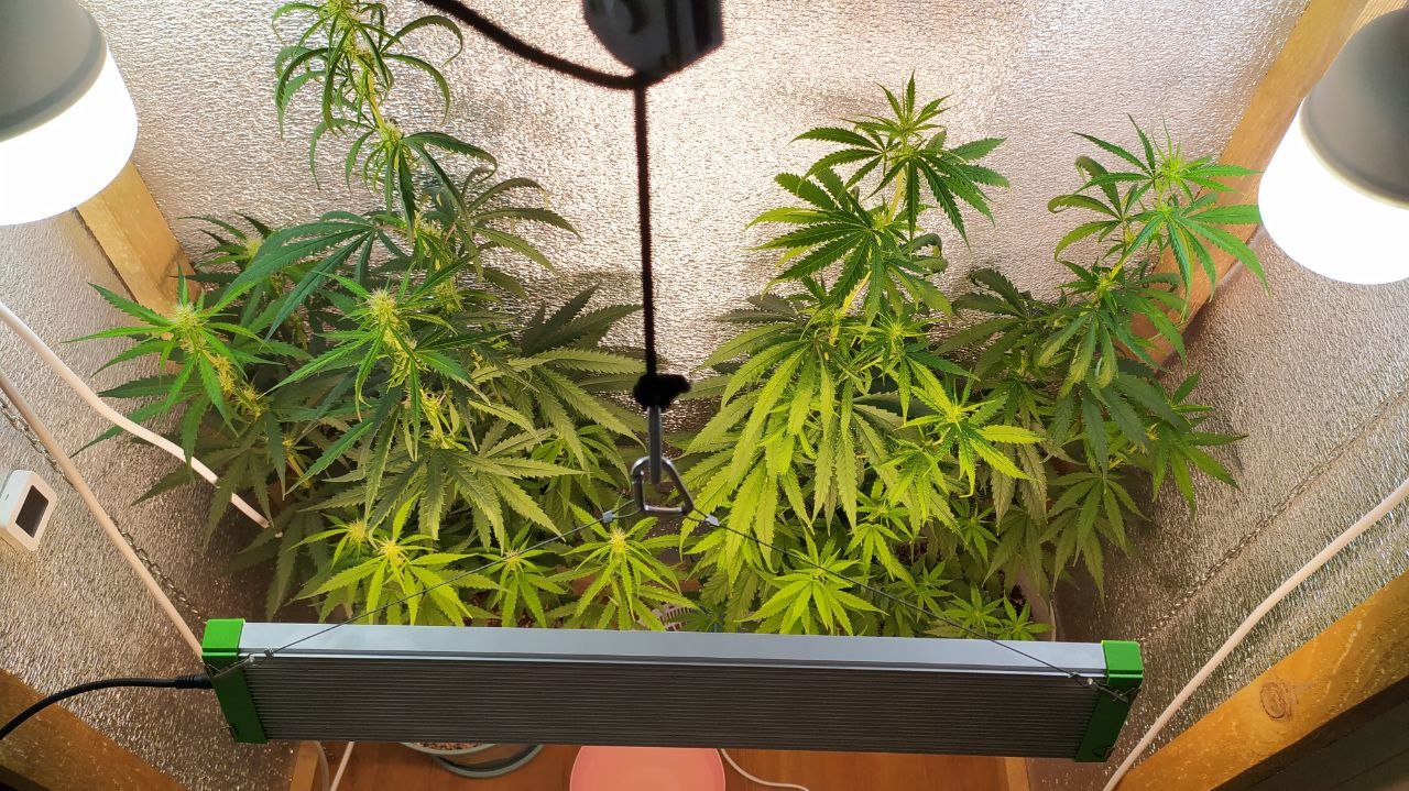 photo_2022-07-08_12-44-26 (2).jpg