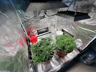 64B244A8-9869-4804-ADF8-FCAFA1C10402.jpeg 64B244A8-9869-4804-ADF8-FCAFA1C10402.jpeg