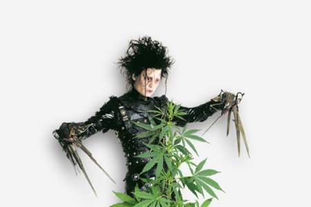 топпинг конопли топпинг конопли