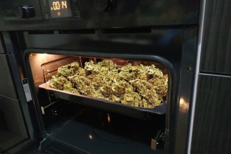 декарбоксилирование каннабиса декарбоксилирование каннабиса