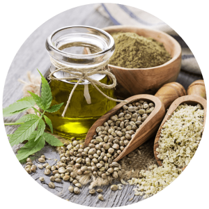 фото12.png фото12.png