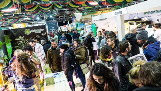 1614091086358.png 1614091086358.png