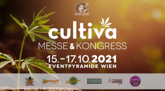 1614091232013.png 1614091232013.png