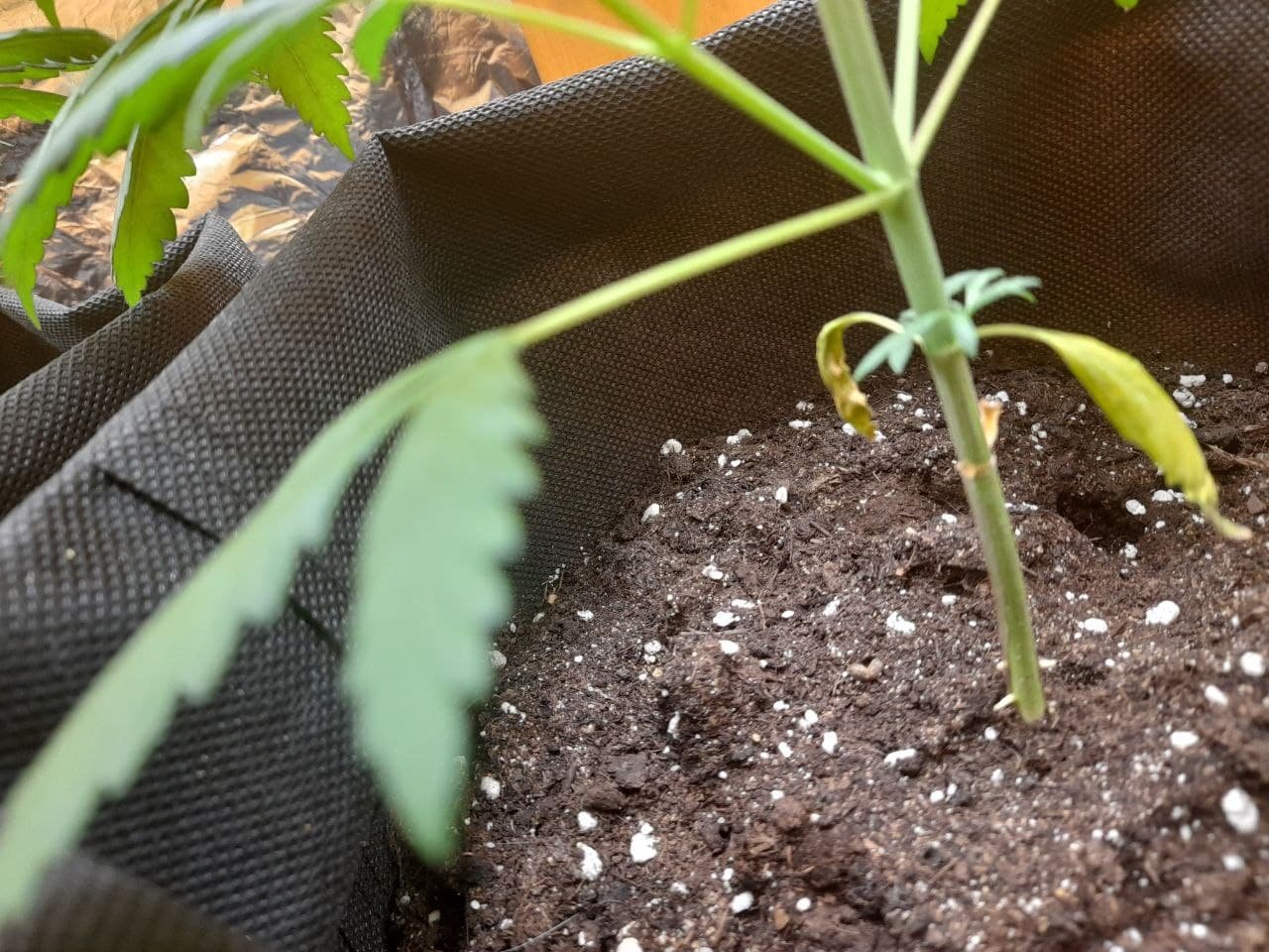 photo_2022-07-09_22-58-29 (2).jpg