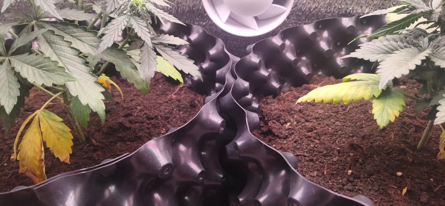 d9bd3012-181d-4ff3-a099-fa32487f2b83.jpg d9bd3012-181d-4ff3-a099-fa32487f2b83.jpg