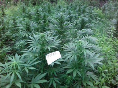 20160522_080832.jpg 20160522_080832.jpg