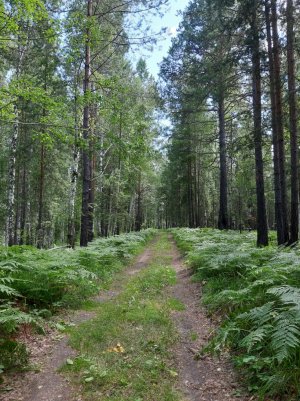 20220729_134231.jpg 20220729_134231.jpg