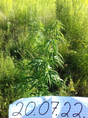 20160528_054810.jpg 20160528_054810.jpg