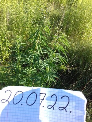 20160528_054736.jpg 20160528_054736.jpg