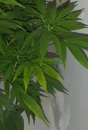 20220804_211338.jpg 20220804_211338.jpg