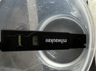 E898FD59-9D53-4013-AE6B-FB6CEB1455B7.jpeg E898FD59-9D53-4013-AE6B-FB6CEB1455B7.jpeg